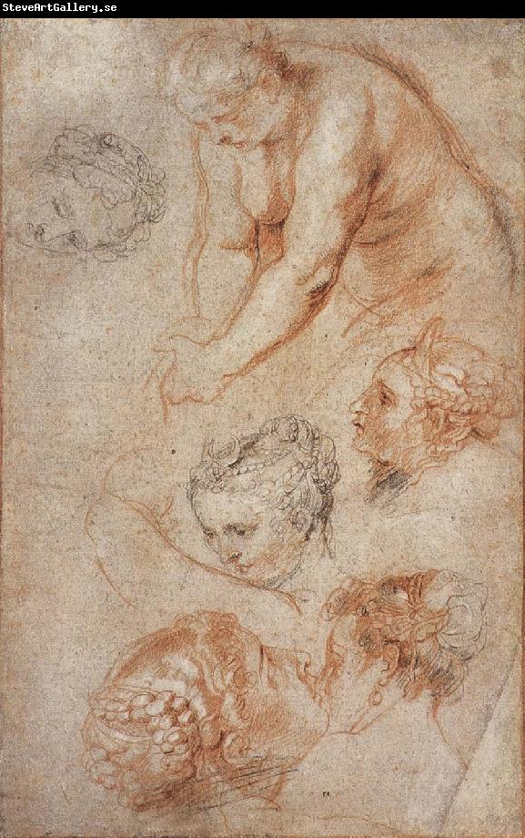 Peter Paul Rubens Woman sketch